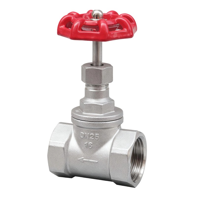 Stainless Steel Globe Valve